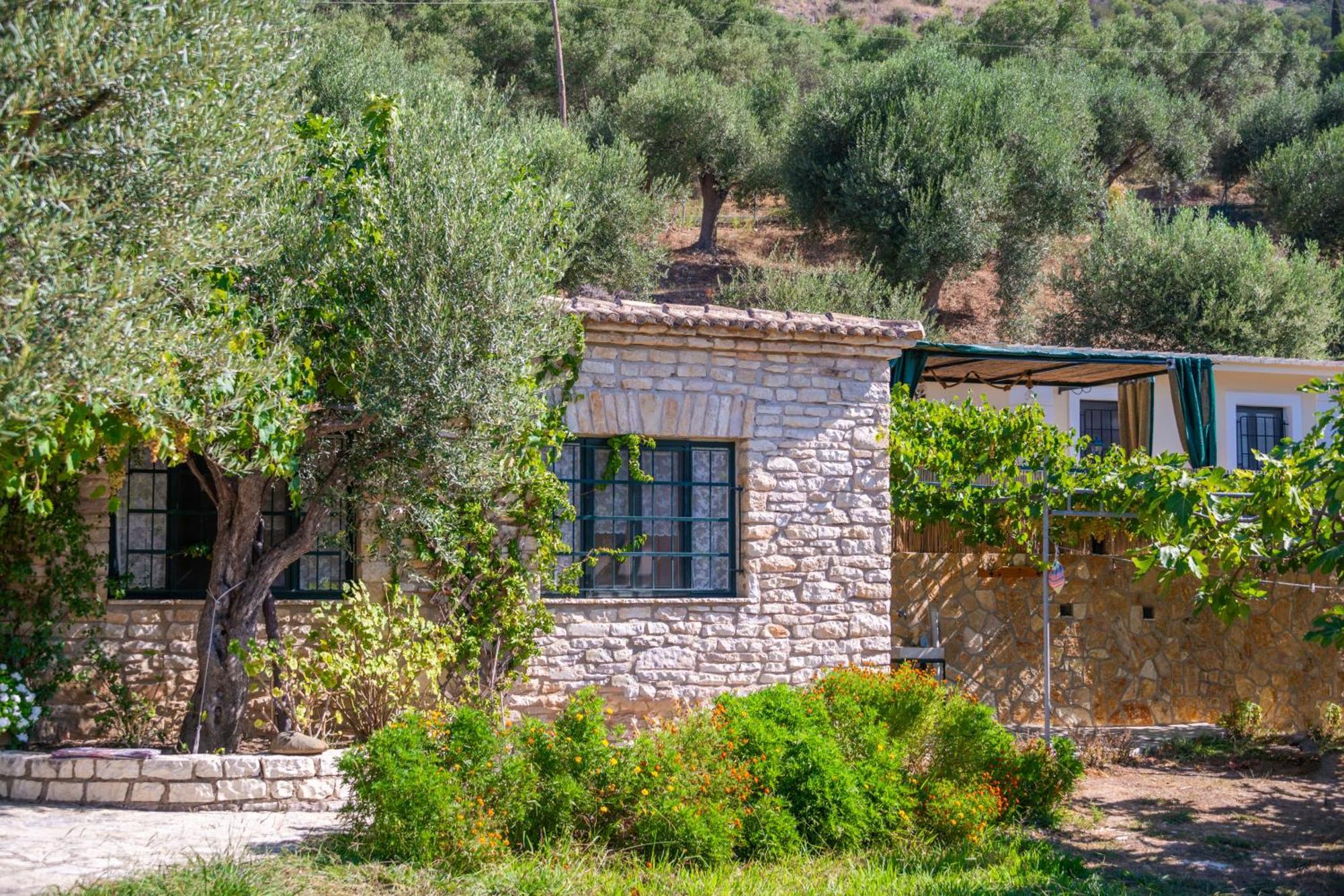 Liodentro - Olea Vila Platariá Exterior foto